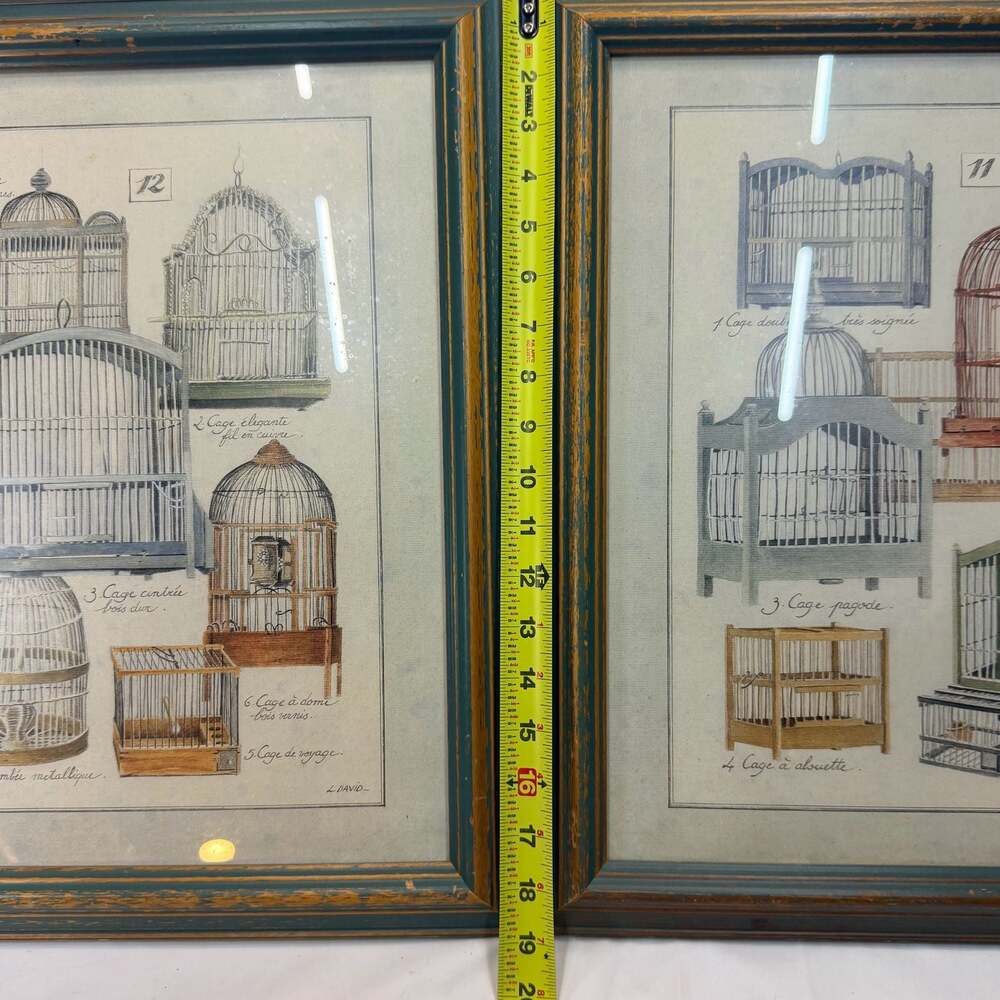 Vintage L. David French Bird Cage Botanical Prints, Distressed Green Frames (2) - Picture 3 of 10